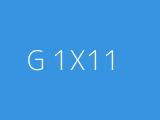 G 1X11 